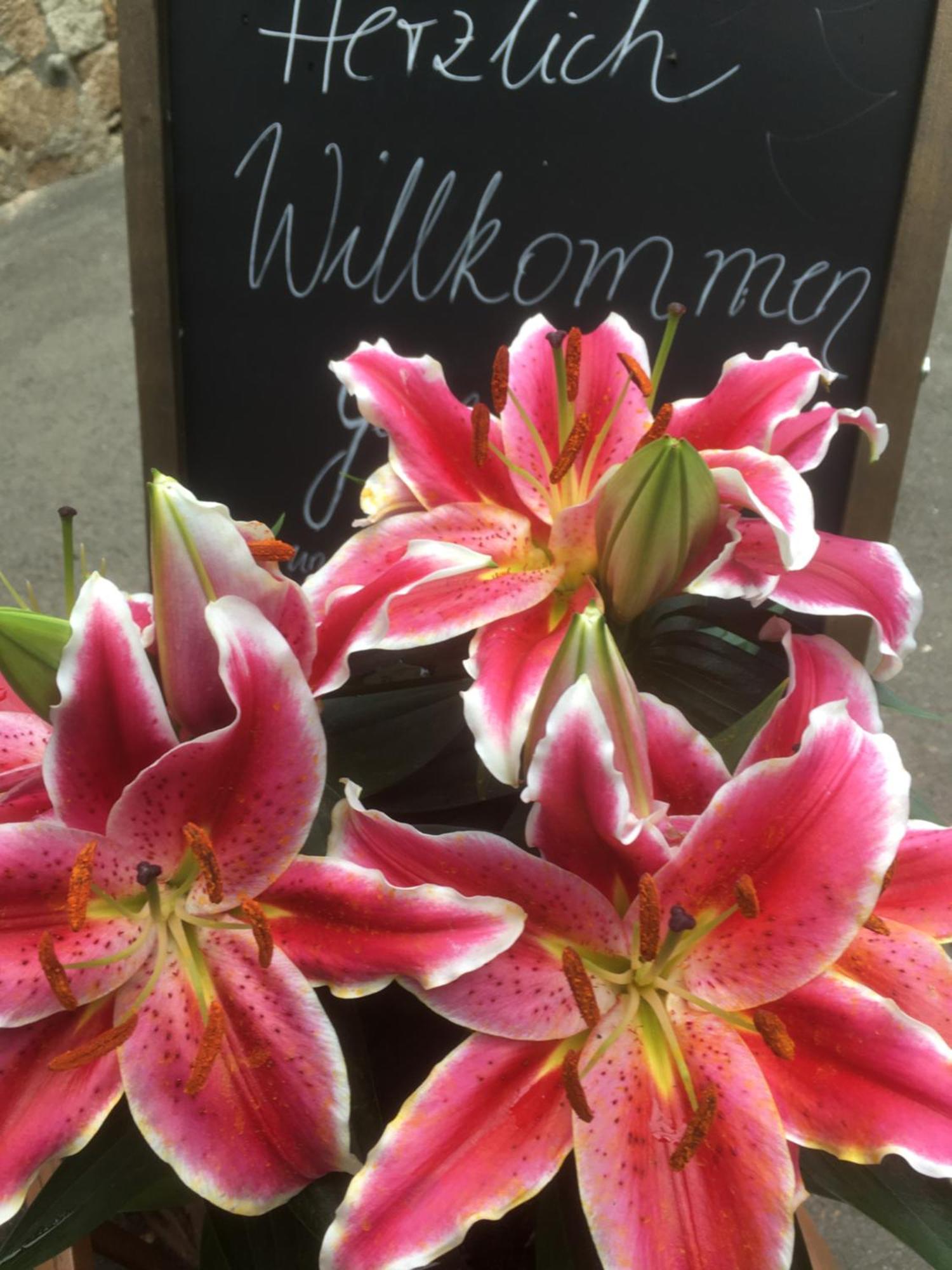 Landgasthof & Hotel Waldeck Treuen 외부 사진